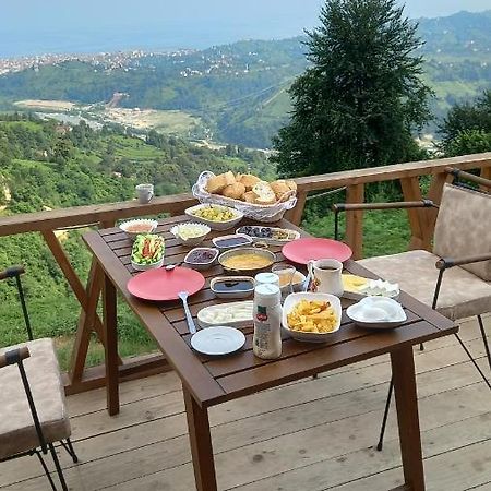 Drosa Bungalov Bed and Breakfast Ardeşen Eksteriør billede